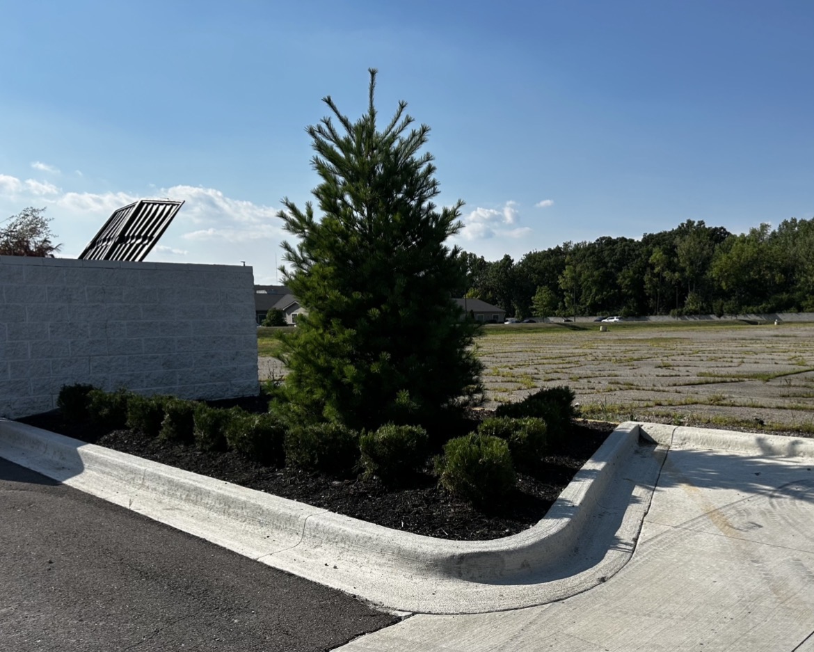 Maintained commercial planting bed