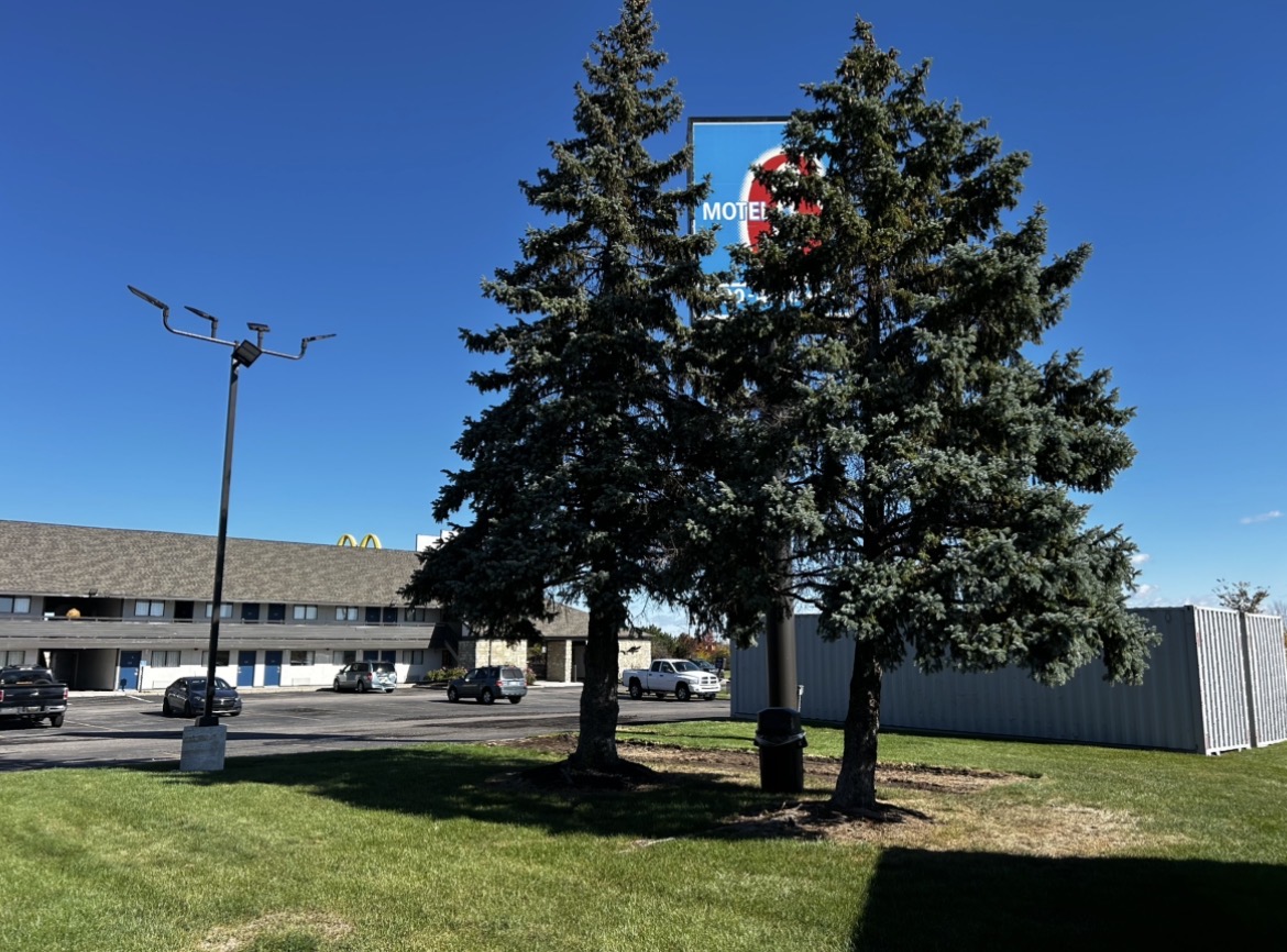 Commercial frontage with mature trees before removal