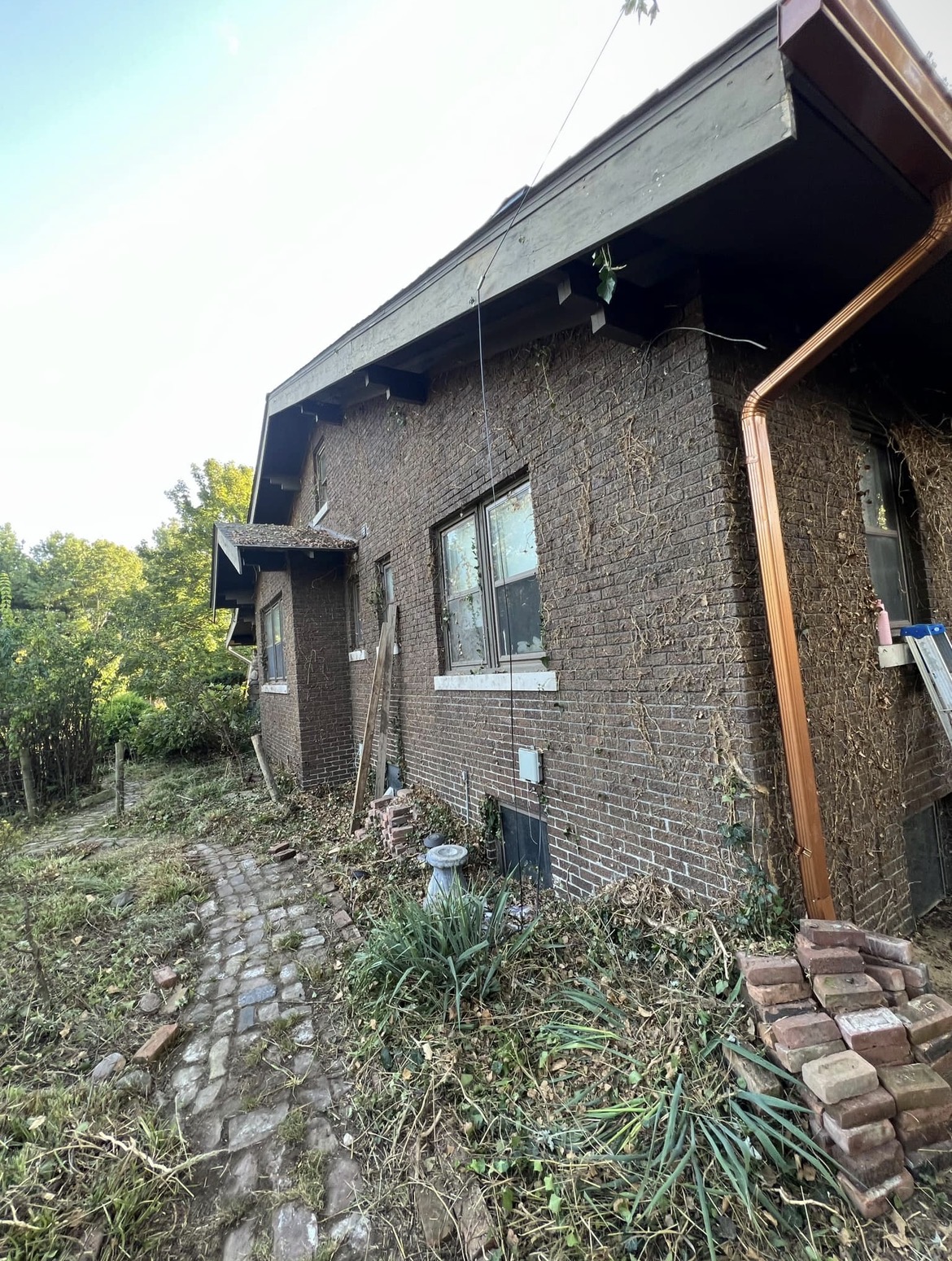 Residential wall and side yard after ivy removal